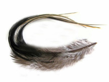 6 Pieces - Silver Badger Thick Long Rooster Hair Extension Feathers