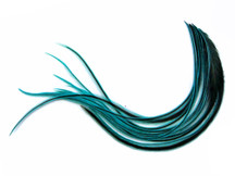 1 Dozen - Medium Kingfisher Blue badger Rooster Saddle Whiting Hair Extension Feathers
