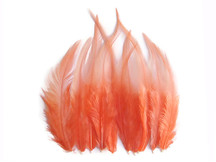 1 Dozen - Short Solid Cantaloupe Whiting Farm Rooster Saddle Hair Extension Feathers