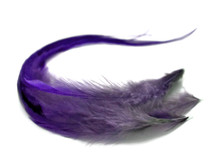 4 Pieces - Pandora Blendz Ombre Thick Long Whiting Farm Rooster Hair Extension Feathers