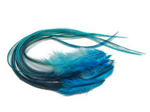 6 Pieces - Kingfisher Blue Badger Thick Long Rooster Hair Extension Feathers