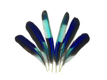 4 Pieces - Natural Turquoise Blue Indian Roller Exotic Wing Feathers