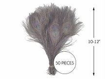 520 BLEACHED PEACOCK FEATHERS Pewter Grey