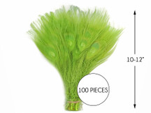 100 Pieces – Lime Green Bleached & Dyed Peacock Tail Eye Wholesale Feathers (Bulk) 10-12” Long 