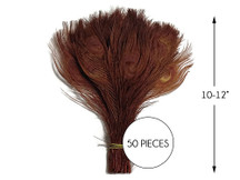 50 Pieces – Chocolate Brown Bleached & Dyed Peacock Tail Eye Wholesale Feathers (Bulk) 10-12” Long 
