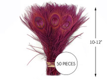 50 Pieces – Burgundy Bleached & Dyed Peacock Tail Eye Wholesale Feathers (Bulk) 10-12” Long 