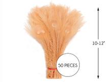 50 Pieces - Peach Pink Bleached And Dyed Peacock Tail Eye Wholesale Feathers (Bulk)