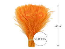 50 Pieces – Orange Bleached & Dyed Peacock Tail Eye Wholesale Feathers (Bulk) 10-12” Long 