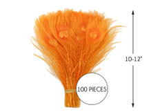100 Pieces – Orange Bleached & Dyed Peacock Tail Eye Wholesale Feathers (Bulk) 10-12” Long 