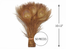 50 Pieces – Light Brown Bleached & Dyed Peacock Tail Eye Wholesale Feathers (Bulk) 10-12” 