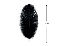 10 Pieces - 6-8" Black Ostrich Dyed Drabs Feathers