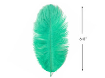 10 Pieces - 6-8" Aqua Green Ostrich Dyed Drabs Body Feathers