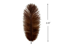 10 Pieces - 6-8" Brown Ostrich Dyed Drabs Body Feathers