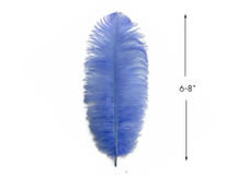 10 Pieces - 6-8" Light Blue Ostrich Dyed Drabs Body Feathers