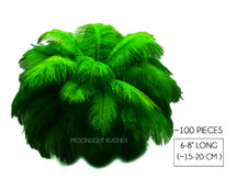 100 Pieces - 6-8" Kelly Green Wholesale Ostrich Body Drabs Feathers (Bulk)
