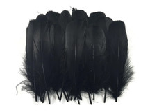 1 Pack - Black Goose Nagoire Loose Feathers - 0.25 Oz.