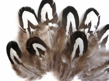10 Pieces - Tiny Black And White Reeves Venery Pheasant Plumage Feathers