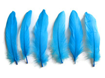 1 Pack - Turquoise Blue Goose Satinettes Loose Feathers 0.3 Oz.