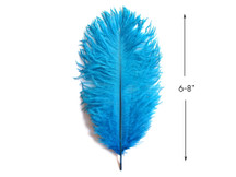 10 Pieces - 6-8" Turquoise Blue Ostrich Dyed Drabs Body Feathers