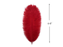 10 Pieces - 6-8" Red Ostrich Dyed Drabs Body Feathers