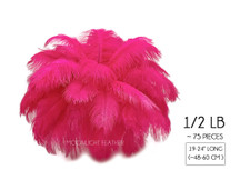 1/2 Lb - 19-24" Hot Pink Ostrich Extra Long Drab Wholesale Feathers (Bulk)