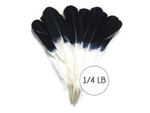 1/4 lbs. - Black Tipped Tom Turkey Rounds Imitation "Eagle" Wholesale Feathers (Bulk)