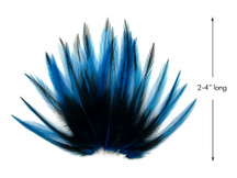 50 TURQUOISE TEAL BLUE DYED SOLID ROOSTER TAILS CRAFT MILLINERY FEATHERS 8"-10"L 