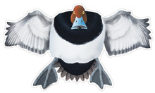 Redhead Drake #1 Decal