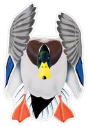 Mallard Drake #4 Decal