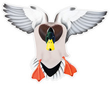 Mallard Drake #1 Decal