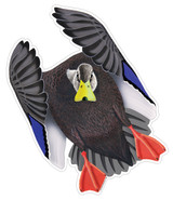 Black Duck Drake #2 Decal