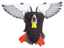 Black Duck Drake #1 Decal