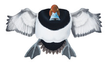 Redhead Drake #1 PVC Garage Duck