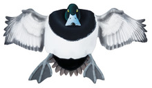 Greater Scaup Drake #1 PVC Garage Duck