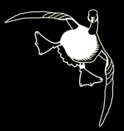 White Vinyl Goose Decal