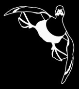 Greater Scaup Drake #1 White Vinyl