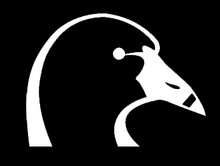 Coots Unlimited Decal