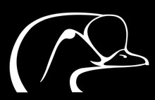 King Eiders Unlimited Decal