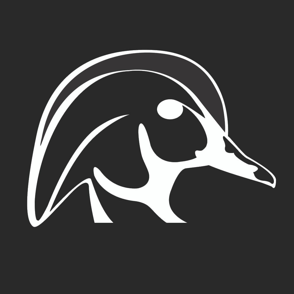 wood ducks unlimited decal