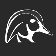  Wood Ducks Unlimited Decal