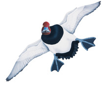 NEW! Redhead Drake #5 Hand Painted Original