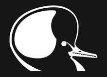 Hooded Mergansers Unlimited Decal