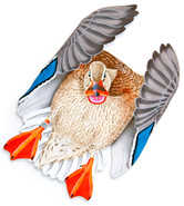 Hen Mallard #3 Hand-Painted Original