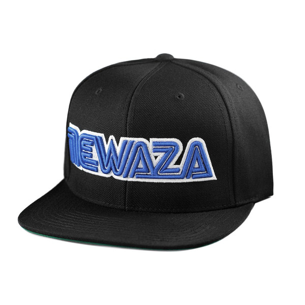 Newaza Apparel Sega Genesis Hat.  Newaza Genesis Snapback available at www.thejiujitsushop.com

Free Shipping on all products