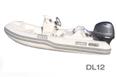 DL-12