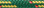 green-with-tracer