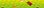 lime-with-tracer