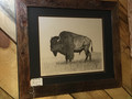 Buffalo Bull by Terry Maddox. Framed. SOLD