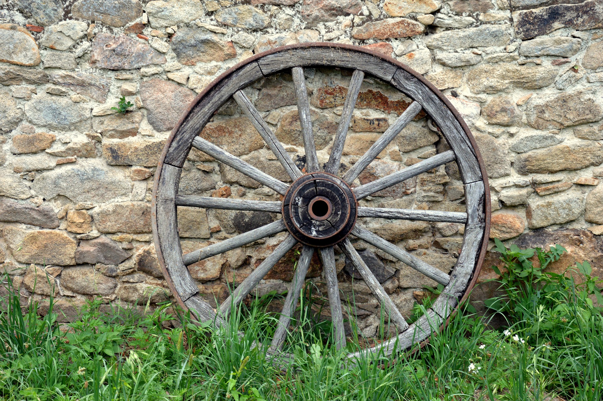 Who really invented the wheel? (And what took us so long?) Petroleum