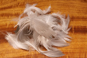 Pintail Flank Feathers